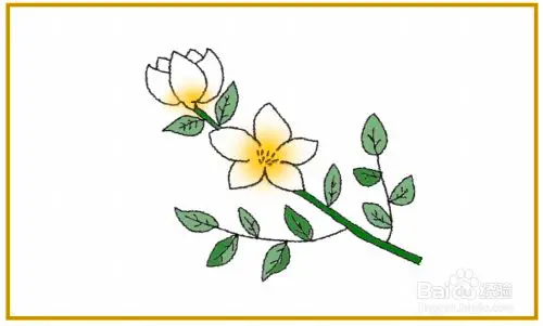 茉莉花怎么画