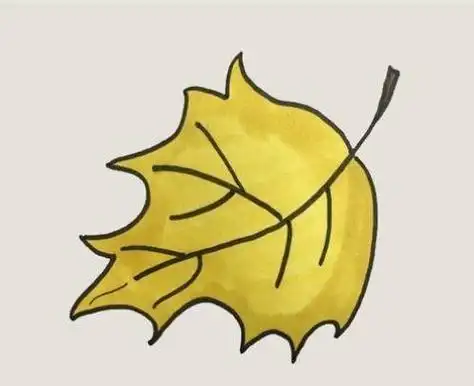 的画法手绘卡通卡通元素u003e手绘简笔画树叶4种秋天枫叶的画法简笔画