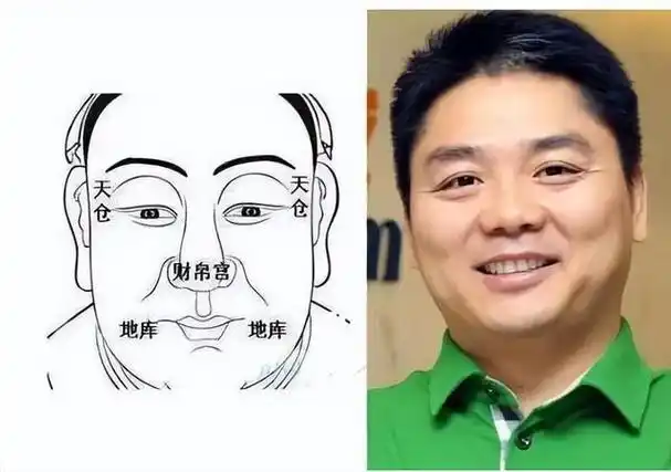 伏犀鼻面相运势,伏羲骨面相图解(难怪"悬胆鼻"被视为鼻中之王)