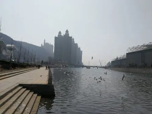 辽宁省大连市沙河口区太原街靠近大连市环保志愿者协会