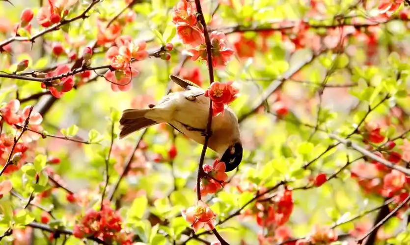 往往忘了去看身边这些自然景情韵,当你放慢脚步,留意一下,会觉得美景