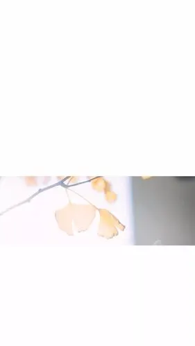 白色背景系列锁屏壁纸来袭,快快接住!