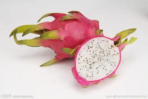 北京新伟生态礼品配送中心 商品详情页 -hc360慧聪移动网