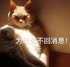 萌宠猫星人为什么不回消息生气呆萌可爱gif动图_动态图_表情包下载