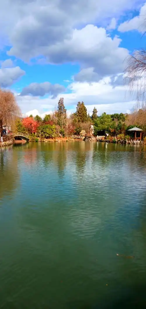 昆明的冬天景色宜人!