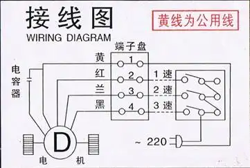 机组进,出水管安装时应加保温层,以免产生冷凝水沿漏现象,进出水管