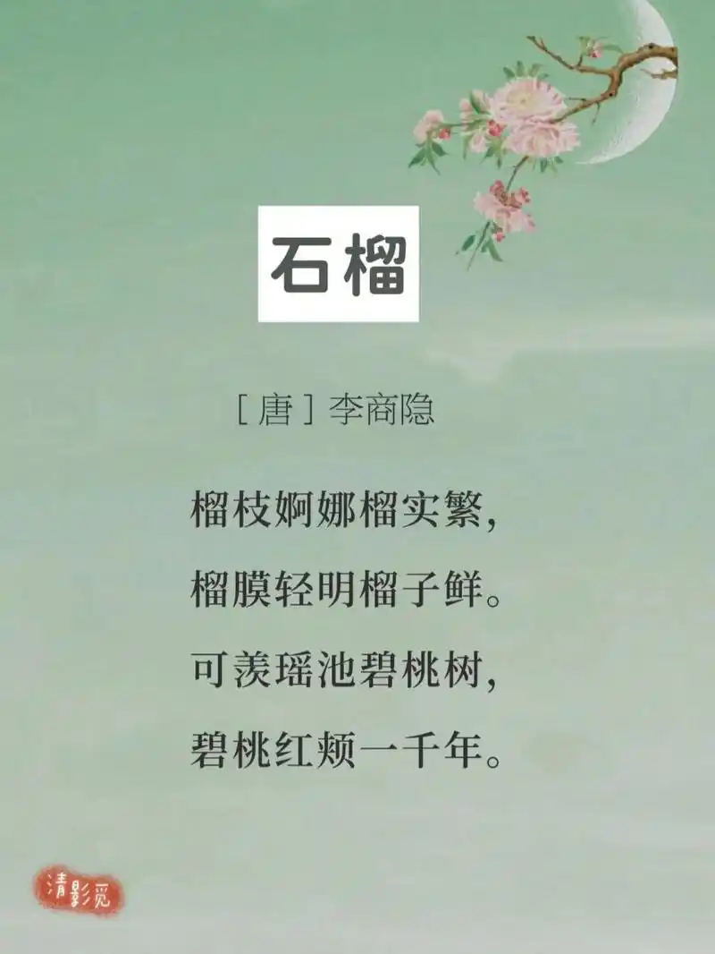 每日诗词151|李商隐《石榴》 —— 94【译文】 61 碧绿的石榴树