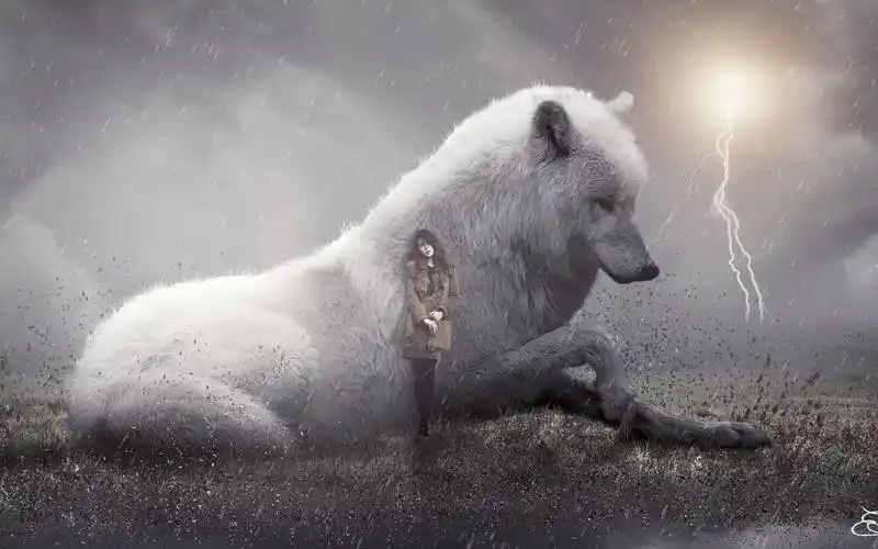 森林里猎人发现了一个特别的猎物,狼女孩