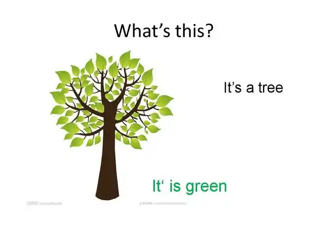 its   tree it is green