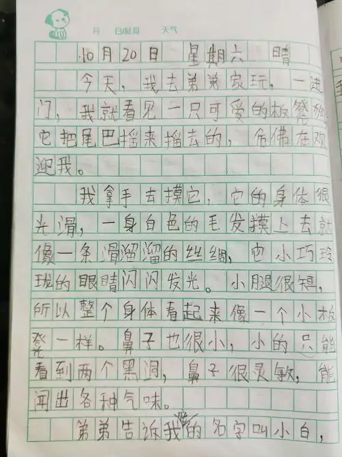 日记是随意记录日常生活的点点滴滴,要是真实的,顺便记一下一天里你