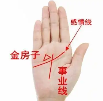 手掌感情线上方有金房子这种纹路,大吉大利,家庭事业两得意