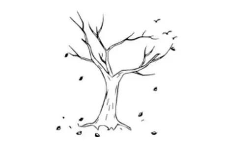 枯树的简笔画怎么画