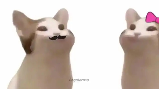 popcat/啵嘴猫_哔哩哔哩 (゜-゜)つロ 干杯~-bilibili