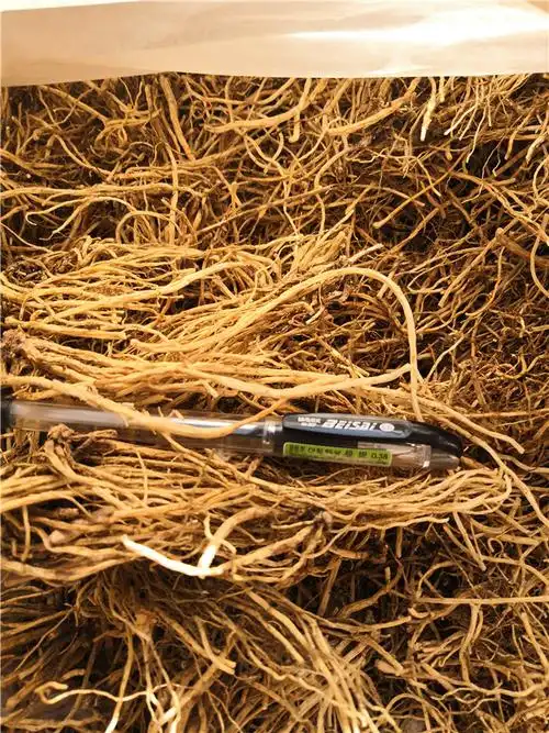 哪里能买到:金昌生巴豆网上能买到吗