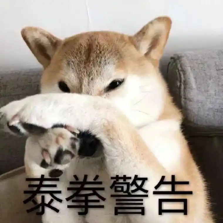 泰拳警告狗子狗子泰拳警告表情