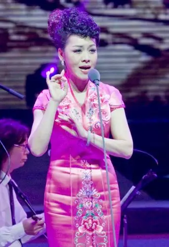 《迎七一——田敏豫剧交响演唱会》在省人民会堂上演