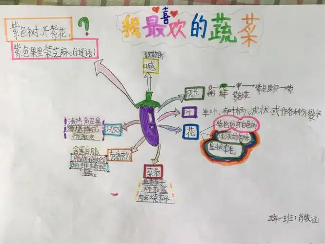 明德小学三年级综合实践活动课"我和蔬菜交朋友"主题探究活动展示