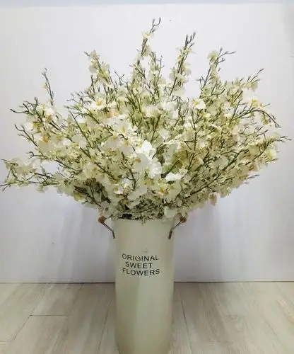 (租赁)白色跳舞兰