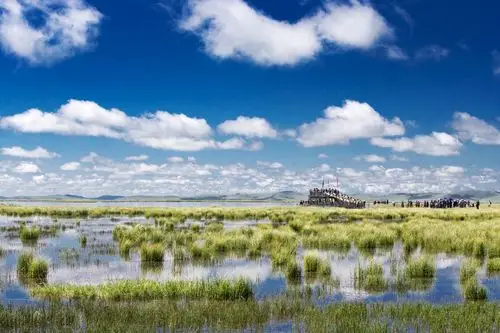 诺尔盖花湖景色