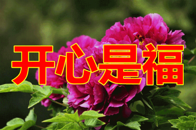 今日出伏一首平安是福祝朋友幸福安康平安快乐过好每一天