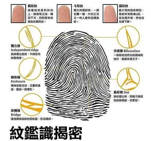 回顾:人类指纹的斗和簸箕,真是基因诅咒?每个人未来早已注定?