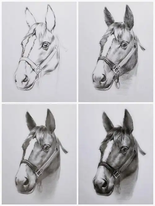 马到成功素描绘画步骤