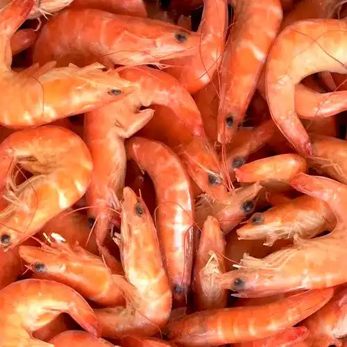 国产熟虾冷冻虾冻对虾大生红虾5kg江浙沪包邮冻虾