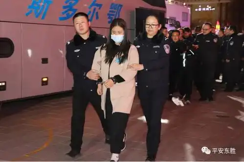 小年夜22名犯罪嫌疑人被押解回东胜