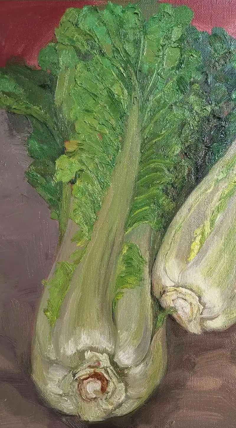 白菜,百财#油画写生 #原创 #心存美好  - 抖音