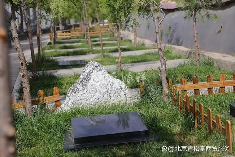 北京树葬价格一览表
