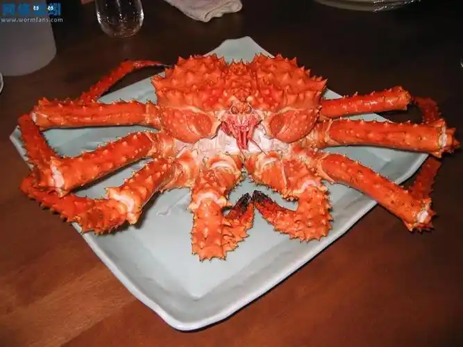 智利帝王蟹进口报关费用是多少?要交多少关税