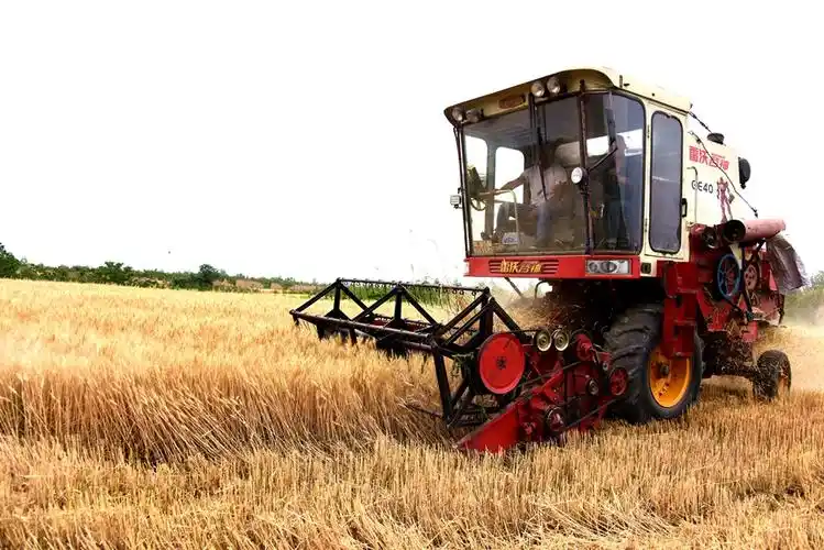 井然有序的田垄如同大地的五线谱,伴随着隆隆的机器轰鸣声,在金色的