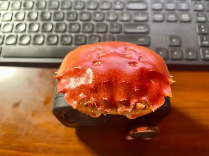 大闸蟹蟹壳