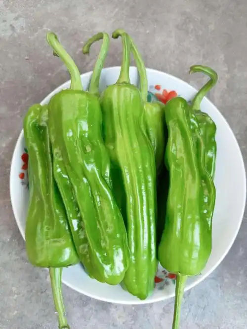 鲜辣椒新鲜薄皮青椒批发虎皮微辣脆芜湖椒泡椒青辣椒现摘蔬菜新鲜