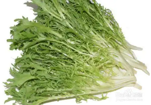 九芽生菜的吃法