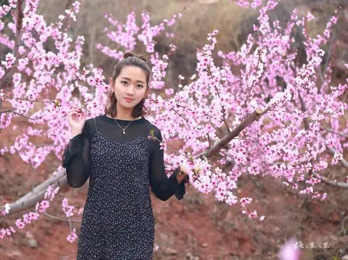 【图片1】桃花人像一组--蜂鸟论坛照片套图