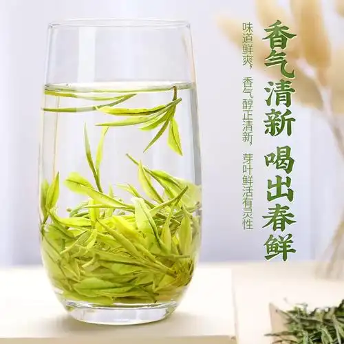 正宗安吉白茶2024新茶明前特级绿茶珍稀白茶高山云雾绿茶叶礼盒装