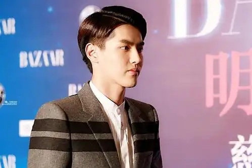 2014吴亦凡2014bazaar明星慈善夜_高清图片大全-爱豆app