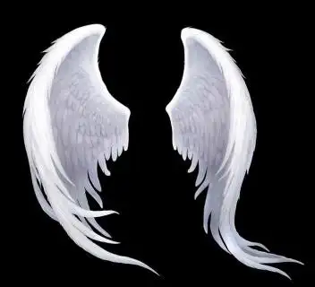 当好接班人天使翅膀图片psd模版下载
