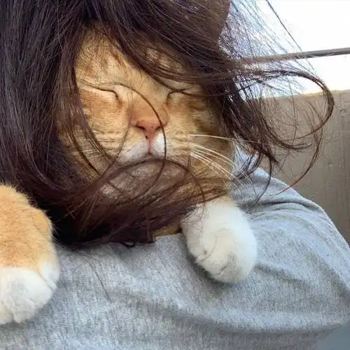 风中凌乱.赞长安诺4503人聚集在这个小组加入小组最新讨论(更多)