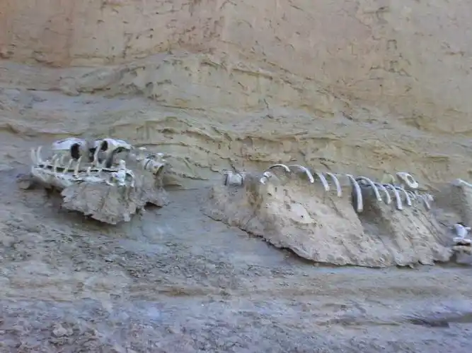 我们新疆 好地方