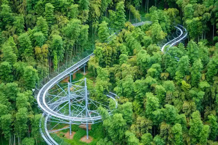 游卧虎藏龙取景地,安吉中国大竹海!