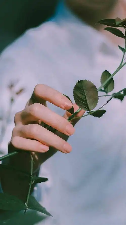 有很多的手控壁纸配上了自己的身体部位,看起来也是