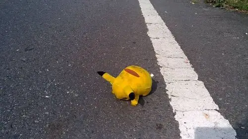 惊见肥满老鼠惨死街头! 等等.它怎麼有点眼熟?