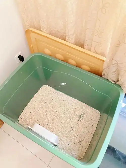 60r自制猫砂盆太香了