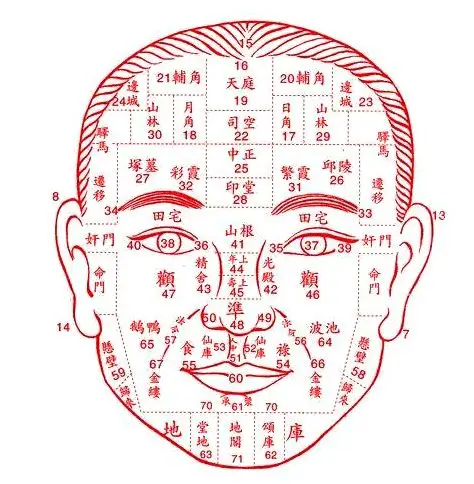 看额头算算自己什么时候走运