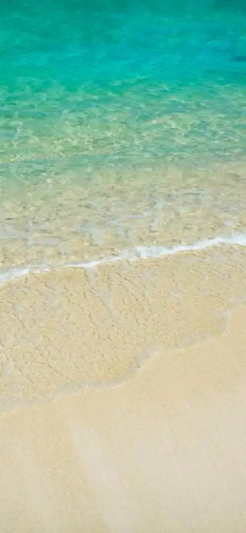 超级手机壁纸:4k画质大海孕育着生命!无水印