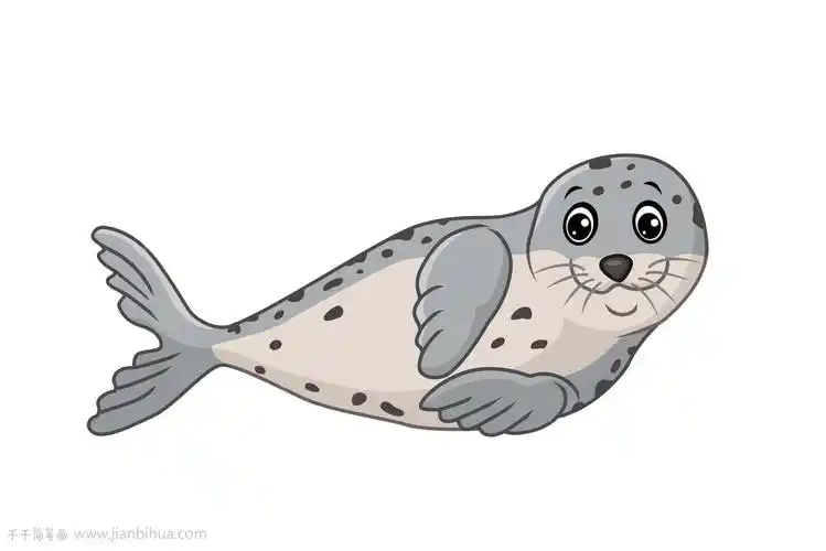 海豹简笔画教程