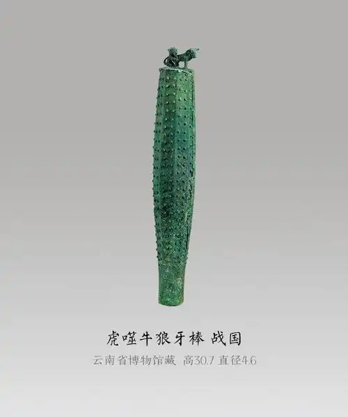 42.2观复猫晒文物:云南博物馆藏战国时期青铜虎噬牛狼牙棒