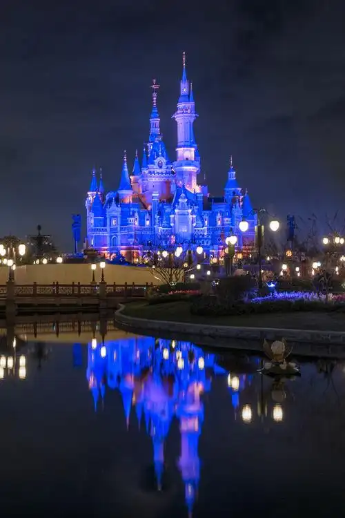 美的记录,(上海迪斯尼乐园烟花表演)